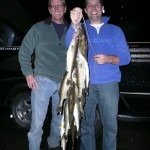 walleye0038