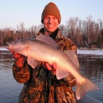 walleye0049