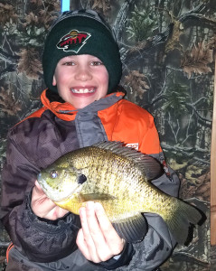 Huge Sunfish (Released)