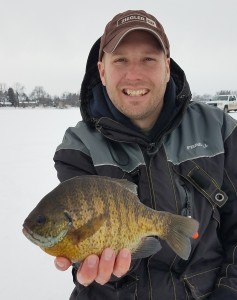 Trophy Bluegill C&R